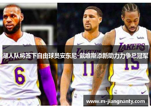 湖人队将签下自由球员安东尼-戴维斯添新助力力争总冠军